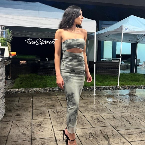 BLOGGER'S FAVE! Zara Strapless Tulle Dress NWT - Picture 11 of 16